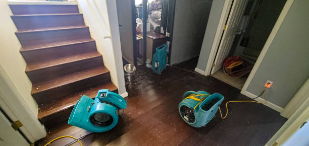 Reliable Richwood, LA Water damage restoration Solutions