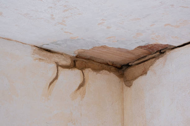 Best 24/7 water damage repair  in Richwood, LA