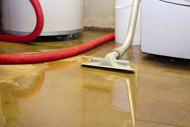 Best Water damage mitigation services  in Richwood, LA