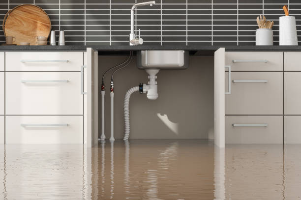 Best Mold removal after water damage  in Richwood, LA